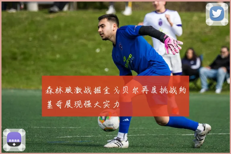 森林狼激战掘金戈贝尔再度挑战约基奇展现强大实力
