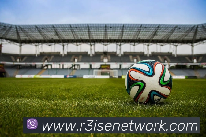 奖项证书